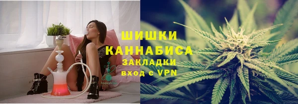 амф Арсеньев