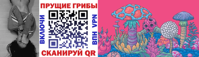 Галлюциногенные грибы Magic Shrooms Находка