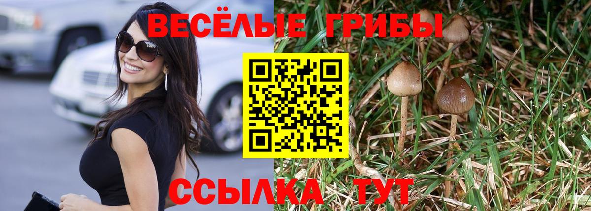 Псилоцибиновые грибы Magic Shrooms Находка