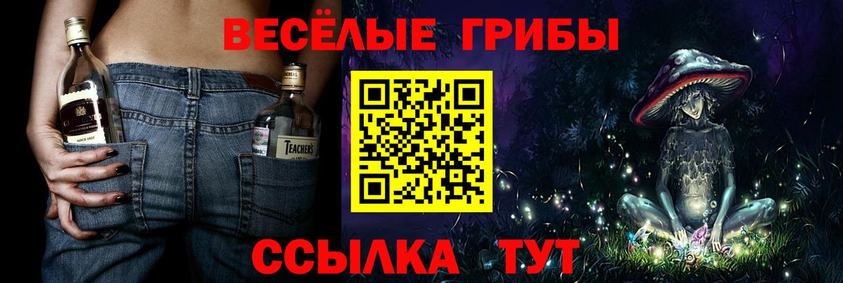 Псилоцибиновые грибы GOLDEN TEACHER  Вход с VPN  Находка 